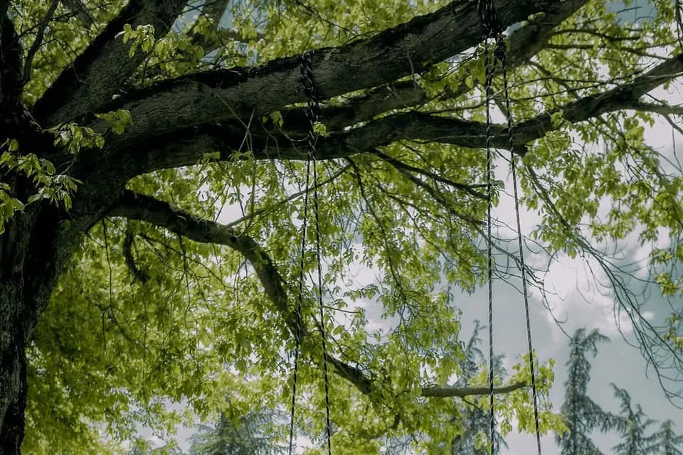 Mas Cantegril — photo 7