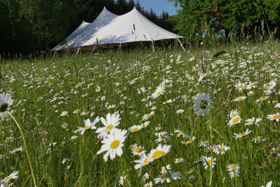 La Source du Buron — photo 1