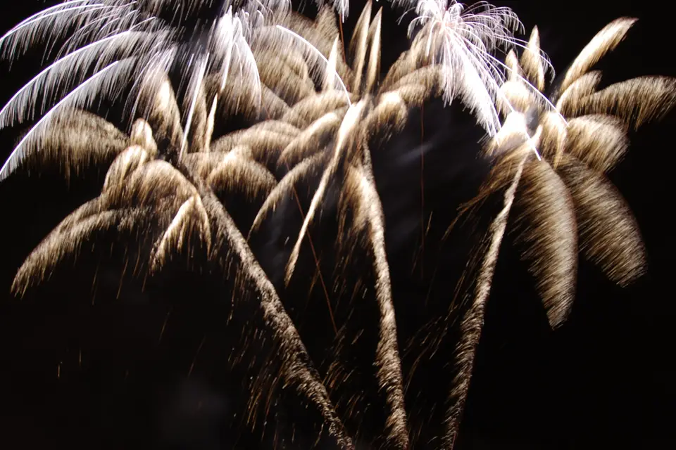 Festiv’ Stars — photo 1