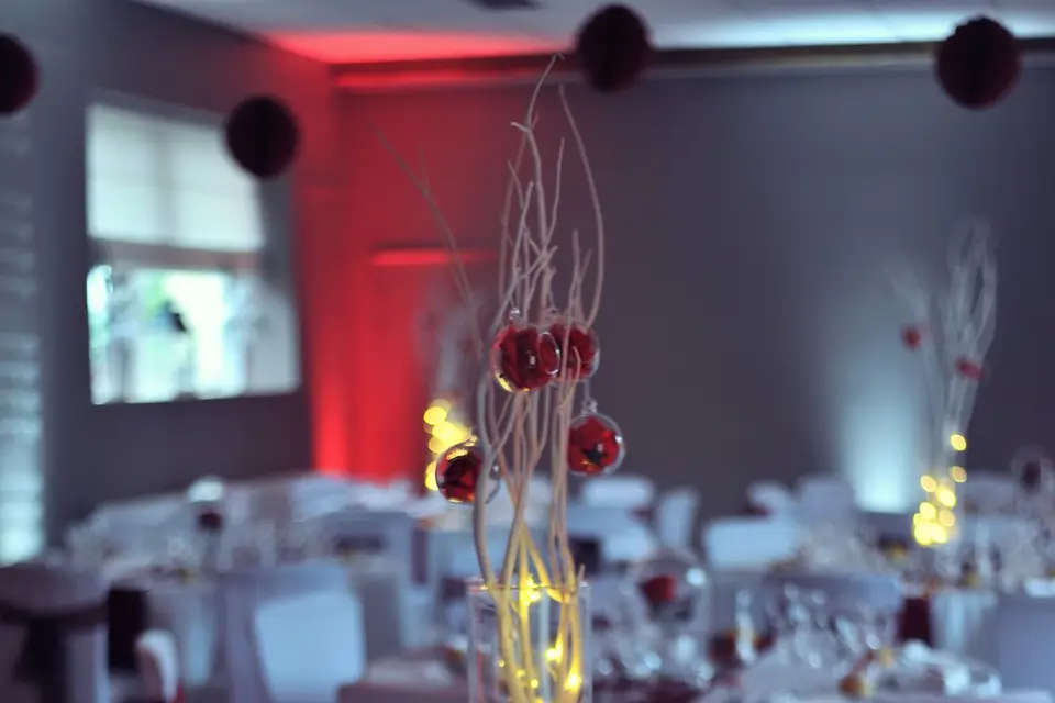 Fée Audrey — photo 5