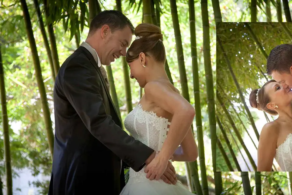 Aux grains d'argent — photo 4