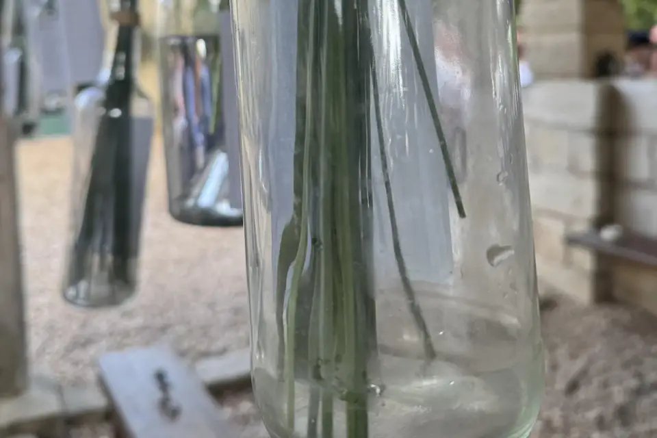 Nly Photographie — photo 5