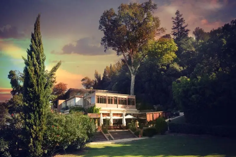 Le Restaurant Le Grand Arbre — photo 1