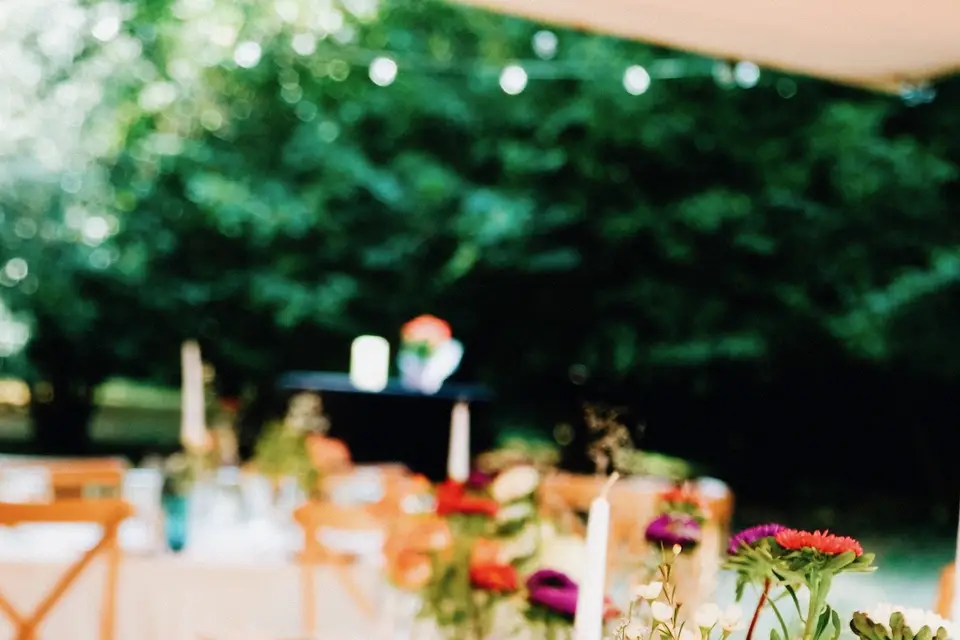 Domaine Les Aigas — photo 4