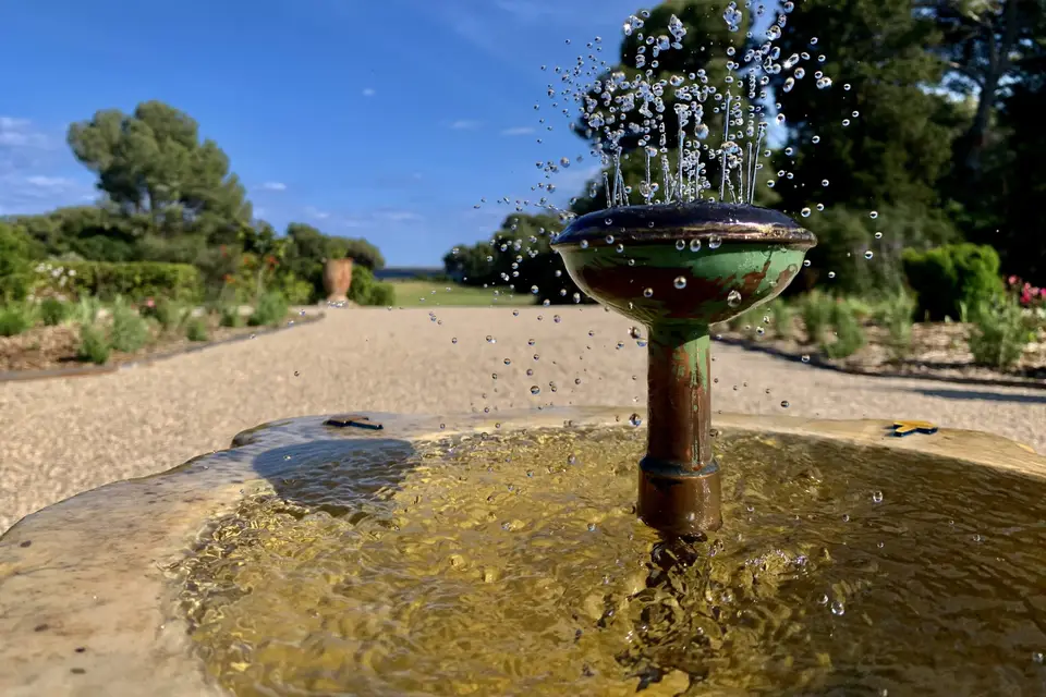 La Bellonette — photo 4