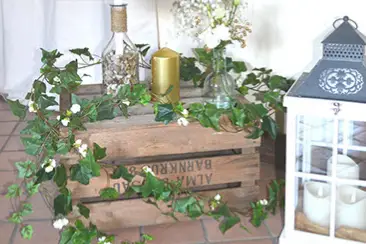 Dreams Décoration — photo 5