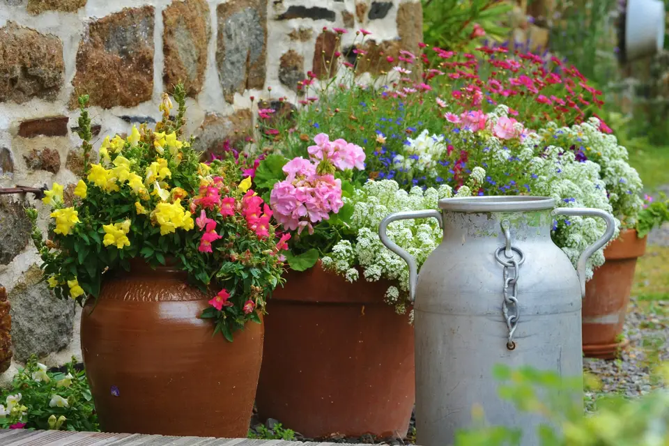 Domaine de Chanteloup — photo 8