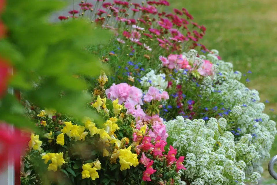 Domaine de Chanteloup — photo 9