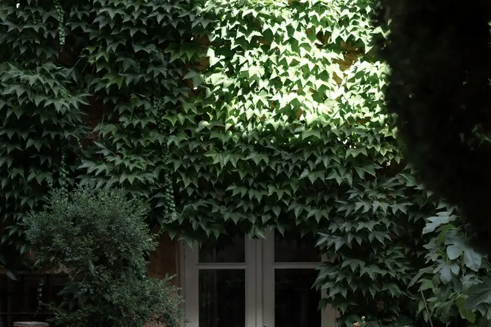 Provence Weddings — photo 7