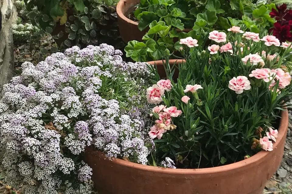 Domaine de Chanteloup — photo 7