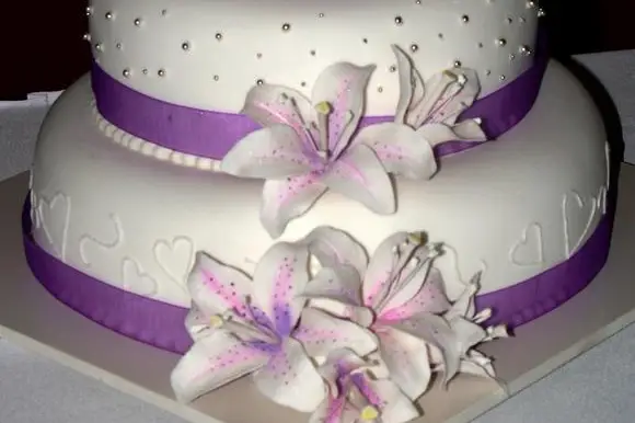 FJ Cake Designer — photo 2