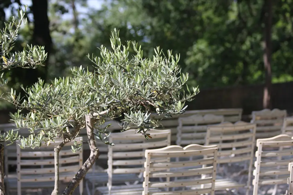 La Pousterle de Sabran — photo 3