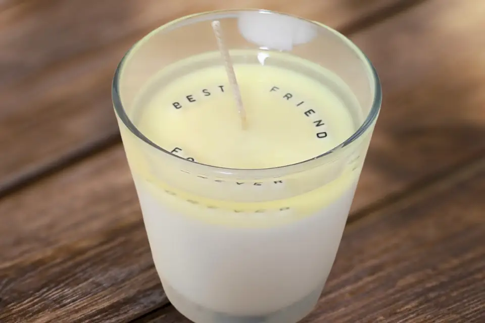 L'Atelier Ginko — photo 2