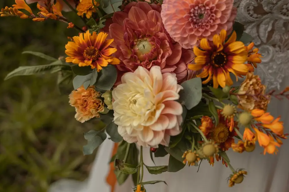 Marie Lapoirie Photographie — photo 3