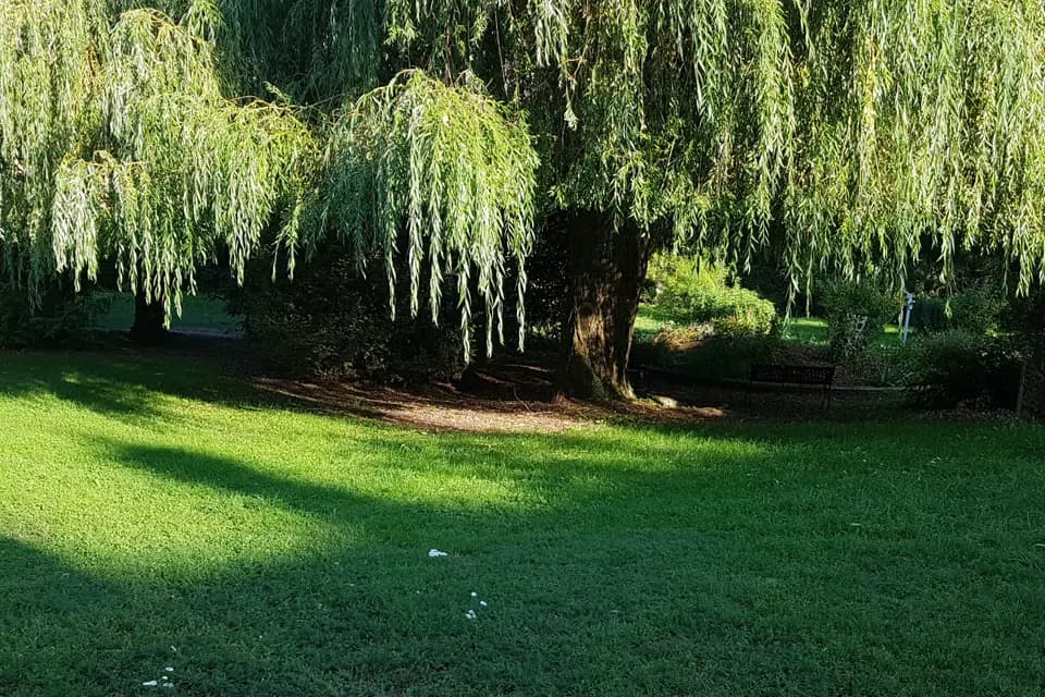 La Maison Carrée — photo 7