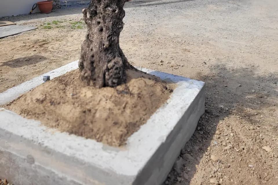 Gîtes Bel des Prés — photo 1