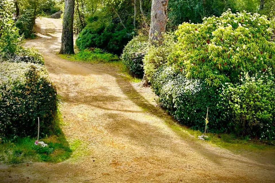 Château La Valmale — photo 2