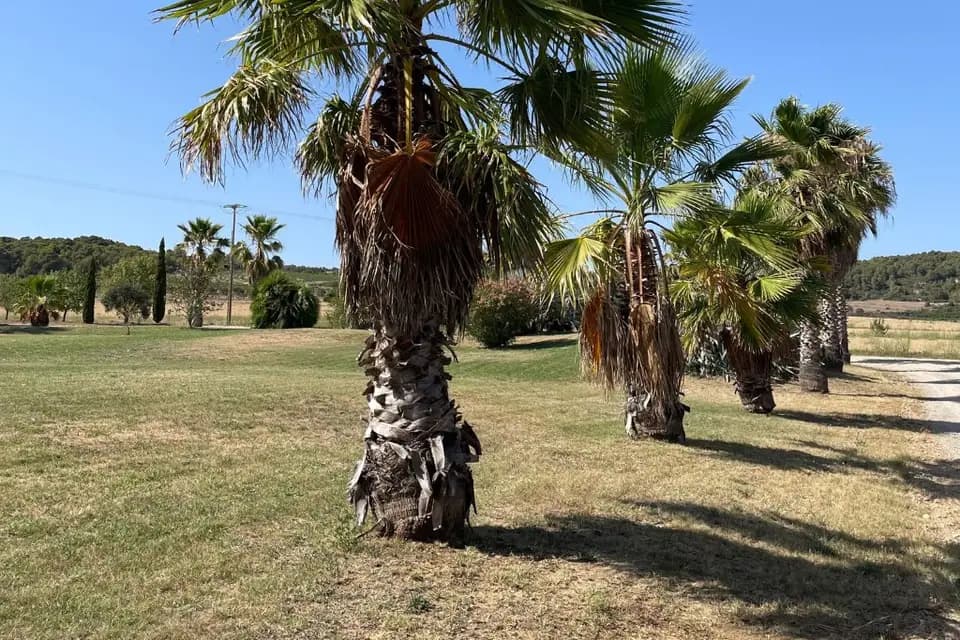 Bergerie de la Vernède — photo 5