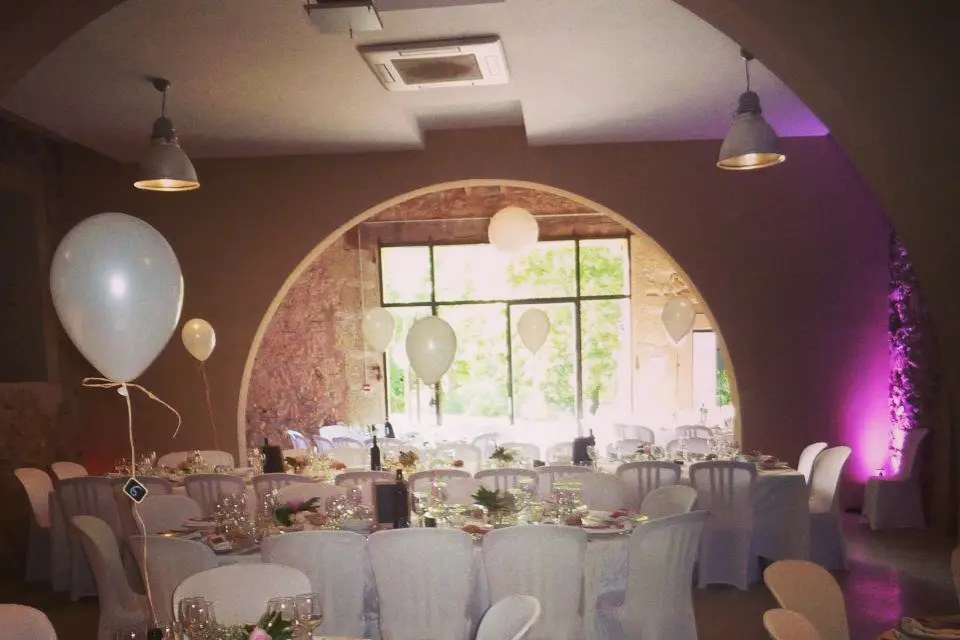 Domaine Pech Laurier — photo 4