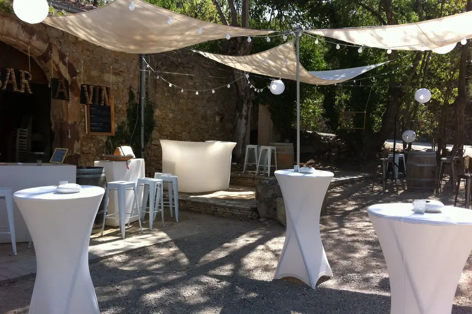 Domaine Pech Laurier — photo 5