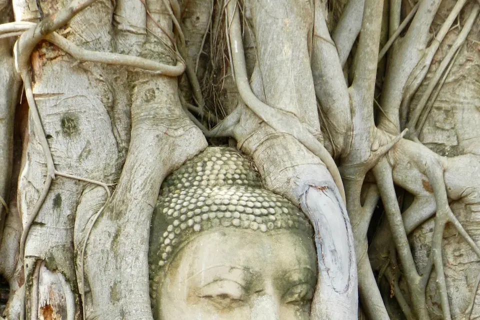 Votre Escapade — photo 6