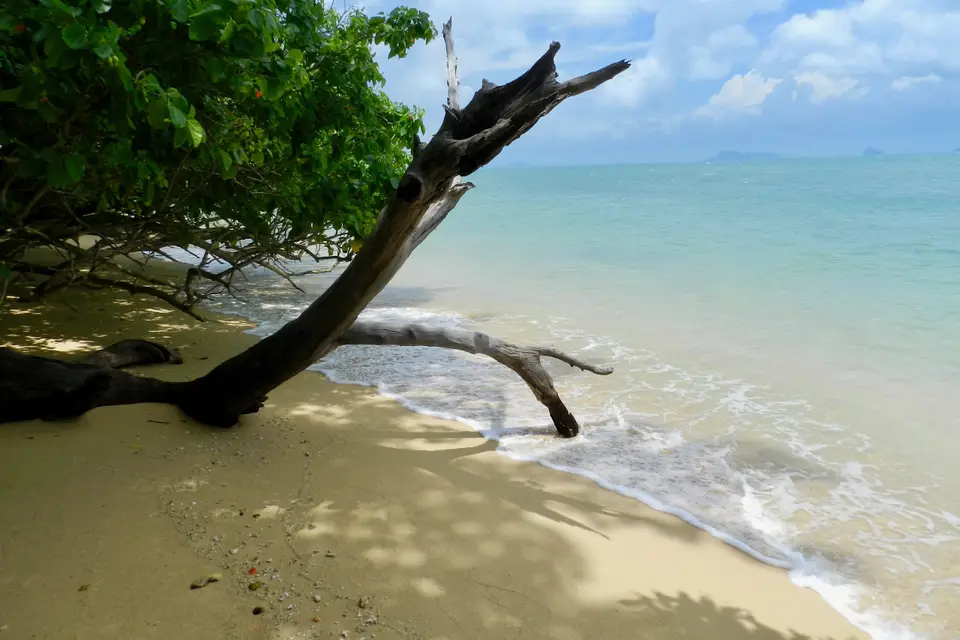 Votre Escapade — photo 3