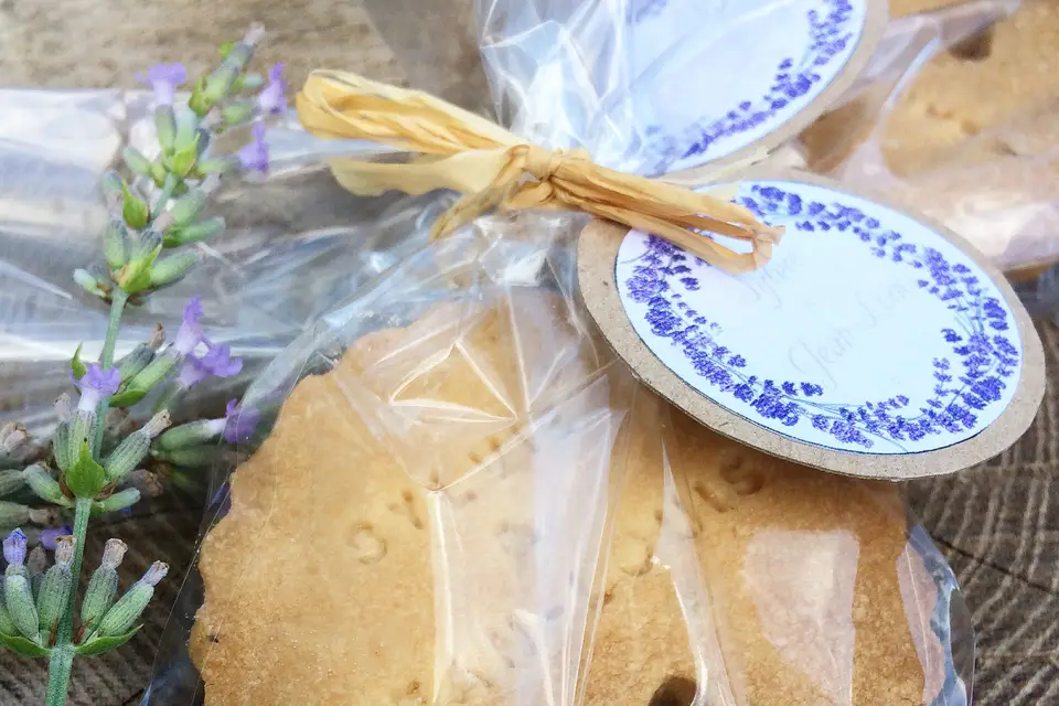 Les Petits Pinceaux — photo 6