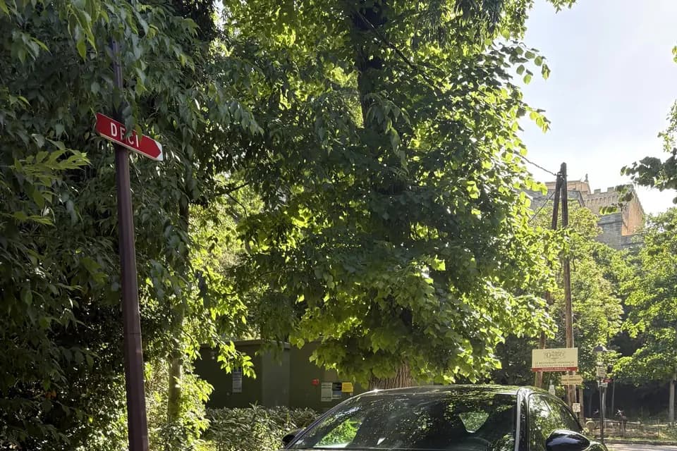 Location Auto Prestige — photo 4