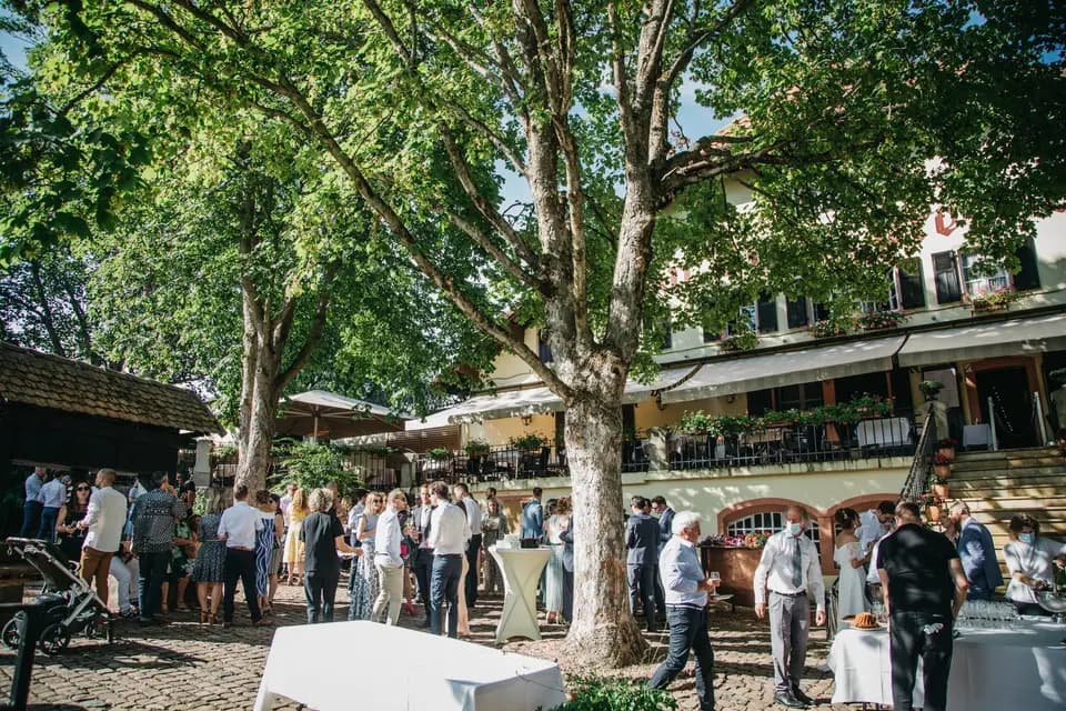 Domaine du Bollenberg — photo 7