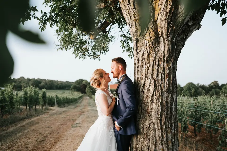 Domaine du Bollenberg — photo 4