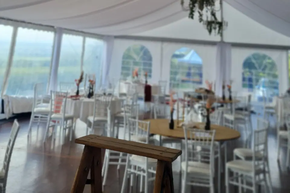 Annie Flores Design — photo 5