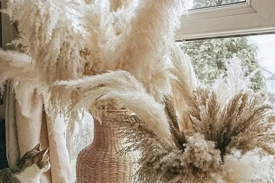 Vidooloca — photo 2