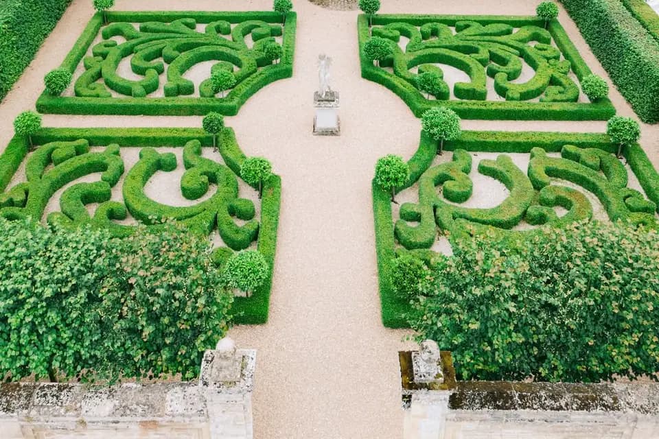 W Destination Wedding — photo 4