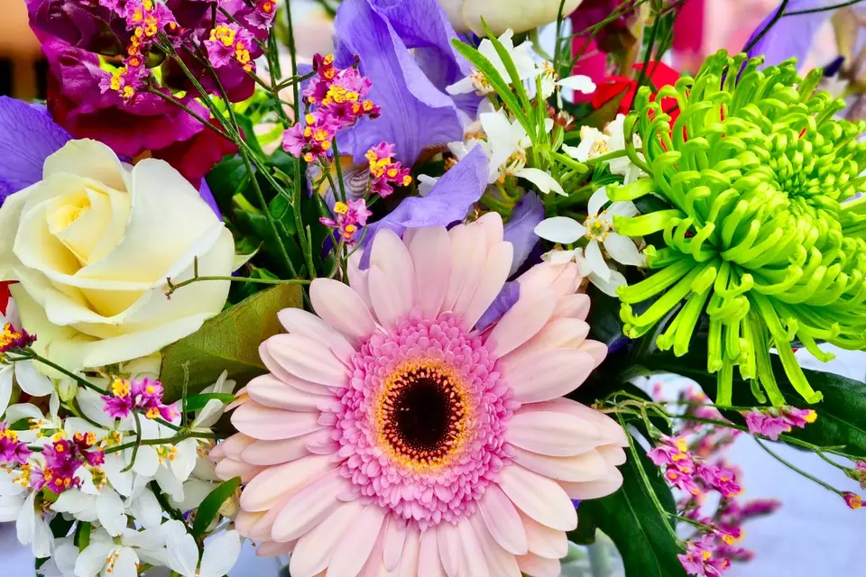 Yolande Design — photo 6