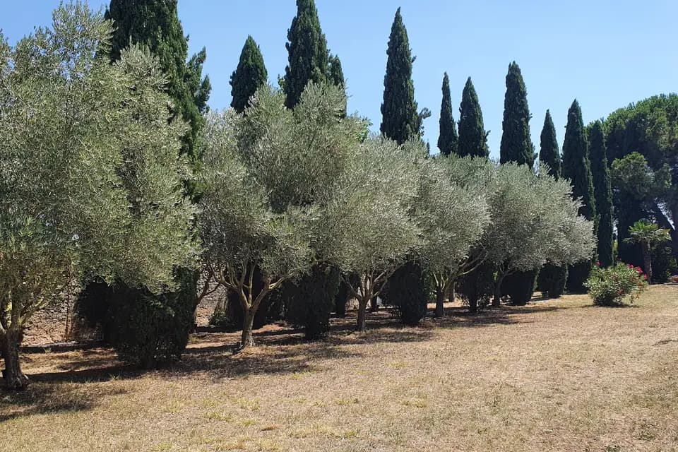 Domaine d'Herminis — photo 5