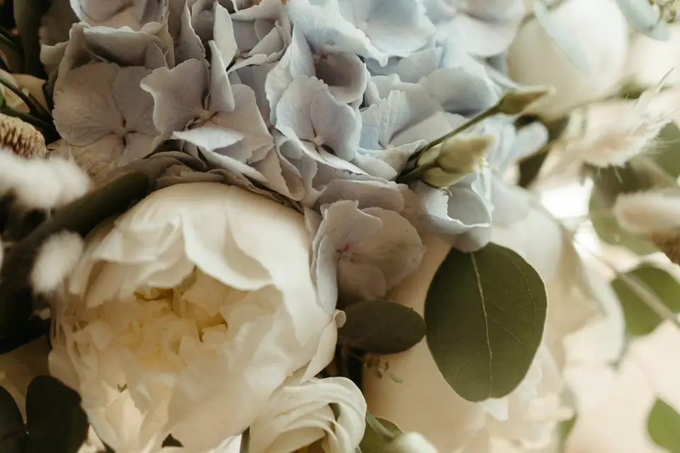 Fleur de Cé — photo 2