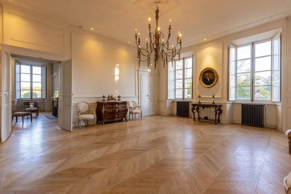 Château de Laplaud — photo 8