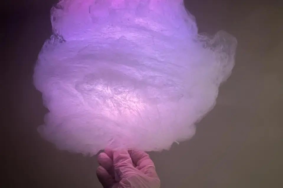 Le Carrosse Sucré — photo 4