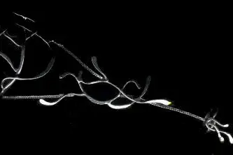 Atelier des Elfes — photo 3