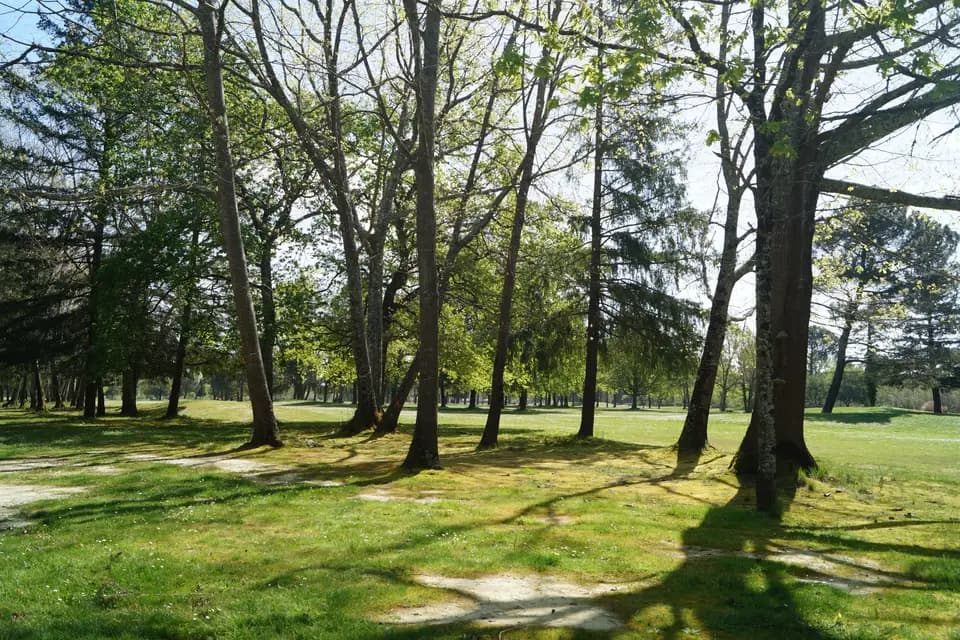 Domaine du Sauternais — photo 4