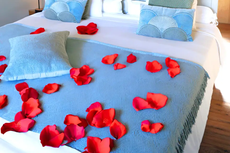 Domaine du Sauternais — photo 6