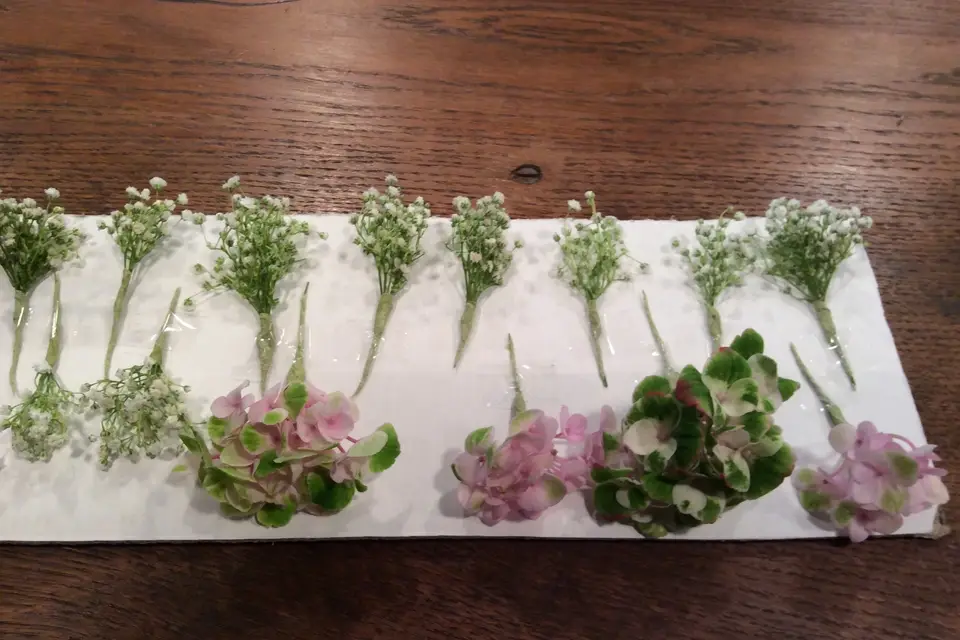 Fleurs Univers — photo 5