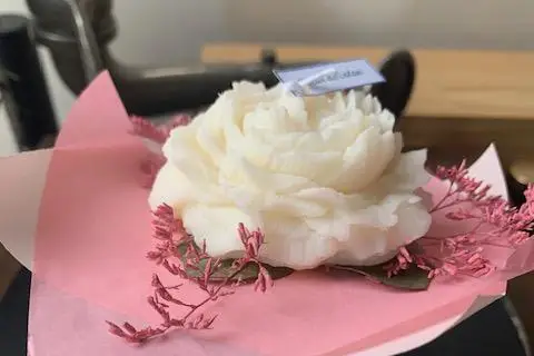 Lumières de Sologne — photo 8