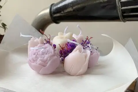 Lumières de Sologne — photo 5