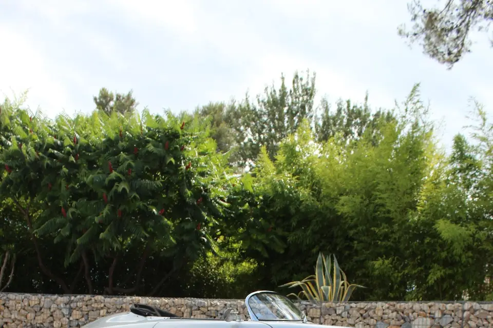 Sebastien Pineau — photo 2