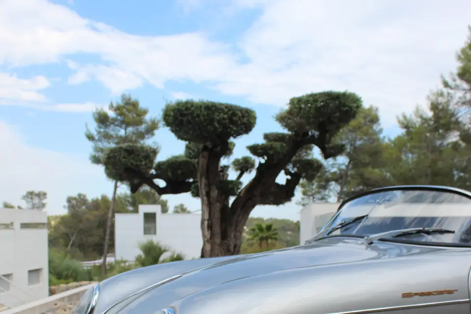 Sebastien Pineau — photo 4