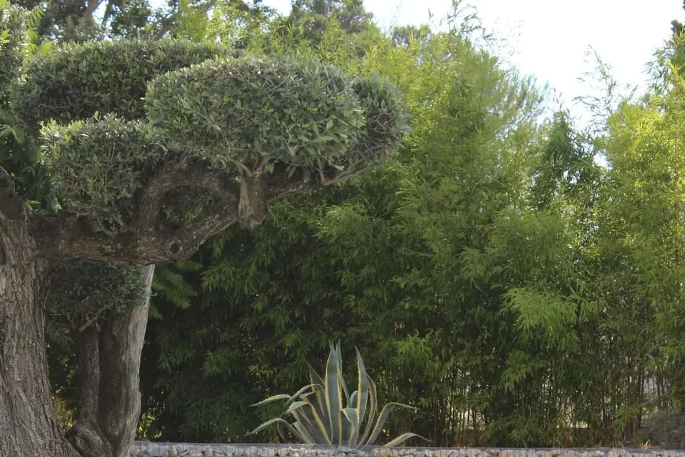 Sebastien Pineau — photo 6