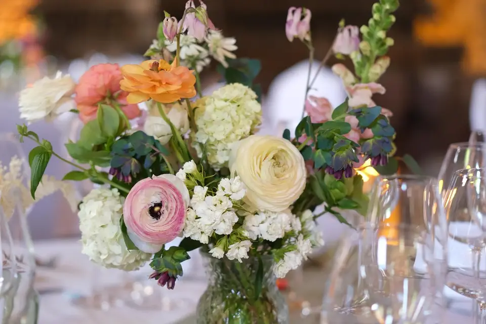 Pollen et Boutons — photo 3