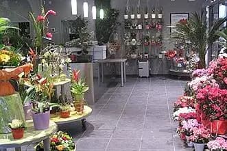 Monceau Fleurs La Seyne sur Mer