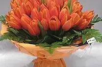 Monceau Fleurs La Seyne sur Mer — photo 6